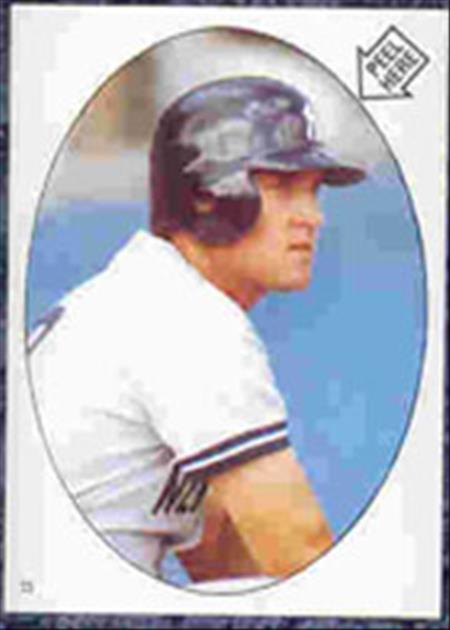1983 Topps Baseball Stickers     013      Graig Nettles